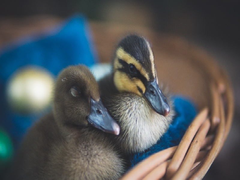 沈阳妇婴男科试管费用，试管宝宝很聪明